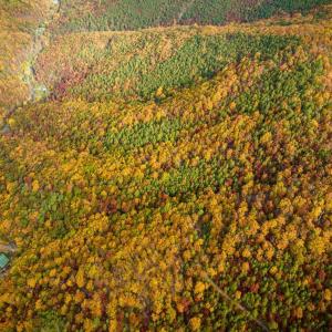 Photo #37 of LUCAS HOLLOW RD, STANLEY, VA 40.6 acres
