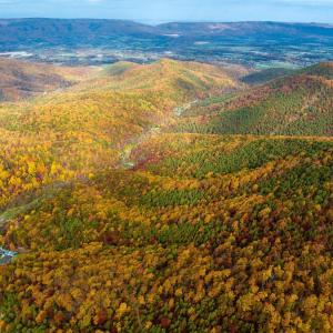 Photo #38 of LUCAS HOLLOW RD, STANLEY, VA 40.6 acres