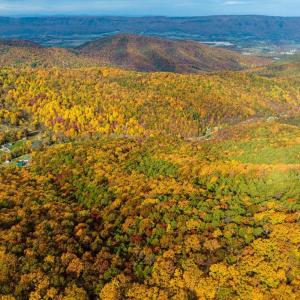 Photo #40 of LUCAS HOLLOW RD, STANLEY, VA 40.6 acres