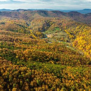 Photo #41 of LUCAS HOLLOW RD, STANLEY, VA 40.6 acres