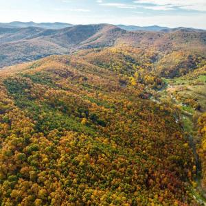 Photo #42 of LUCAS HOLLOW RD, STANLEY, VA 40.6 acres