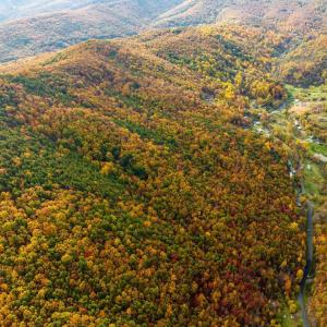 Photo #43 of LUCAS HOLLOW RD, STANLEY, VA 40.6 acres