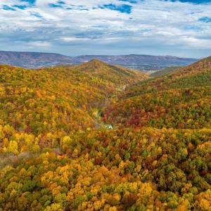 Photo #46 of LUCAS HOLLOW RD, STANLEY, VA 40.6 acres