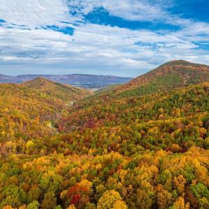 Photo #47 of LUCAS HOLLOW RD, STANLEY, VA 40.6 acres