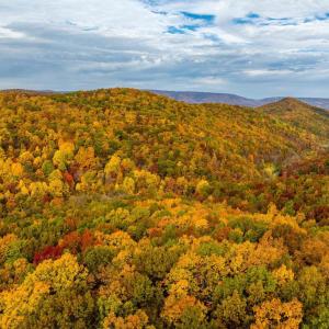 Photo #48 of LUCAS HOLLOW RD, STANLEY, VA 40.6 acres