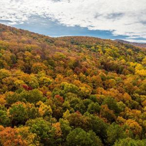 Photo #49 of LUCAS HOLLOW RD, STANLEY, VA 40.6 acres