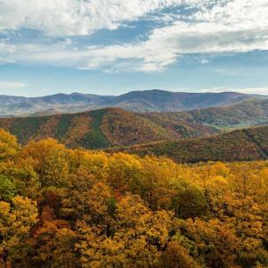 Photo #50 of LUCAS HOLLOW RD, STANLEY, VA 40.6 acres