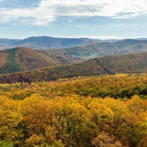 Photo #51 of LUCAS HOLLOW RD, STANLEY, VA 40.6 acres