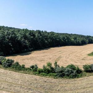 Photo #16 of CAVE HILL RD, LURAY, VA 7.4 acres