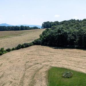 Photo #17 of CAVE HILL RD, LURAY, VA 7.4 acres
