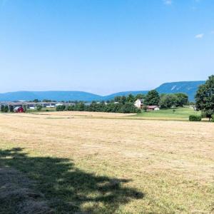 Photo #21 of CAVE HILL RD, LURAY, VA 7.4 acres