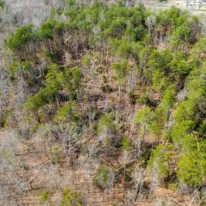 Photo #7 of NEW BRIDGE ROAD, MINERAL, VA 1.5 acres