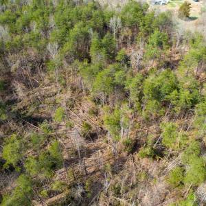 Photo #9 of NEW BRIDGE ROAD, MINERAL, VA 1.5 acres