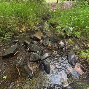 Photo #6 of THORNTON GAP CHURCH ROAD, SPERRYVILLE, VA 7.5 acres