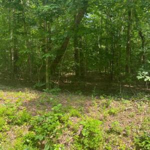 Photo #2 of MEANDER RUN ROAD, LOCUST DALE, VA 5.3 acres