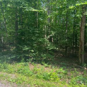 Photo #5 of MEANDER RUN ROAD, LOCUST DALE, VA 5.3 acres