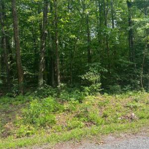 Photo #7 of MEANDER RUN ROAD, LOCUST DALE, VA 5.3 acres