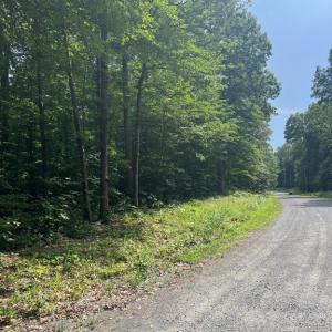 Photo #8 of MEANDER RUN ROAD, LOCUST DALE, VA 5.3 acres