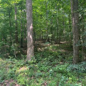 Photo #4 of MEANDER RUN ROAD, LOCUST DALE, VA 5.3 acres