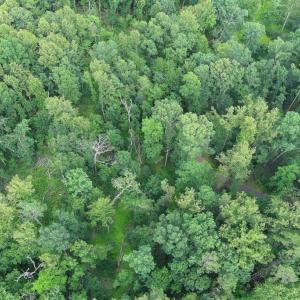 Photo #2 of VARZARA RD, MARSHALL, VA 13.8 acres