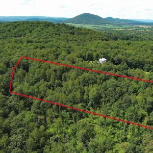 Photo #4 of VARZARA RD, MARSHALL, VA 13.8 acres