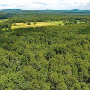 Photo #5 of VARZARA RD, MARSHALL, VA 13.8 acres