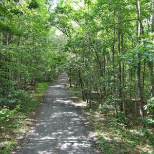 Photo #6 of VARZARA RD, MARSHALL, VA 13.8 acres