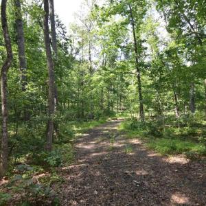 Photo #7 of VARZARA RD, MARSHALL, VA 13.8 acres
