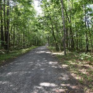 Photo #8 of VARZARA RD, MARSHALL, VA 13.8 acres