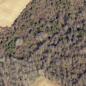 Photo #3 of DEERFIELD LANE, AMISSVILLE, VA 34.1 acres