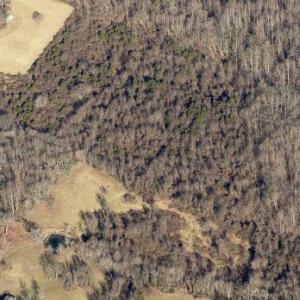 Photo #4 of DEERFIELD LANE, AMISSVILLE, VA 34.1 acres