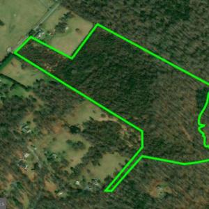 Photo #5 of DEERFIELD LANE, AMISSVILLE, VA 34.1 acres
