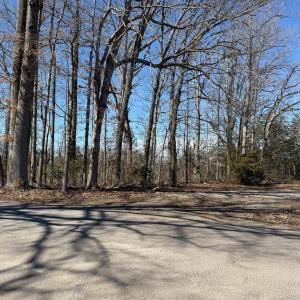 Photo #5 of ZACHARY TAYLOR HWY, ORANGE, VA 1.7 acres