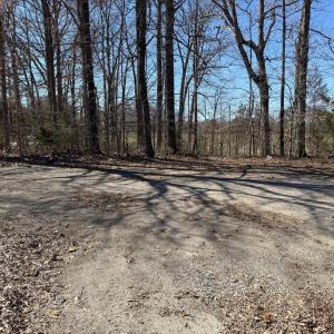 Photo #6 of ZACHARY TAYLOR HWY, ORANGE, VA 1.7 acres