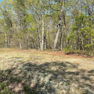 Photo #4 of 13323 BLACK MEADOW RD, SPOTSYLVANIA, VA 5.1 acres
