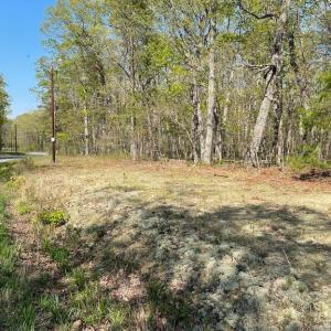 Photo #5 of 13323 BLACK MEADOW RD, SPOTSYLVANIA, VA 5.1 acres