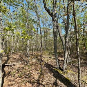 Photo #6 of 13323 BLACK MEADOW RD, SPOTSYLVANIA, VA 5.1 acres