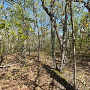 Photo #7 of 13323 BLACK MEADOW RD, SPOTSYLVANIA, VA 5.1 acres