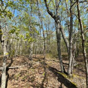 Photo #8 of 13323 BLACK MEADOW RD, SPOTSYLVANIA, VA 5.1 acres