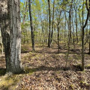 Photo #9 of 13323 BLACK MEADOW RD, SPOTSYLVANIA, VA 5.1 acres