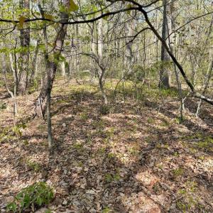 Photo #11 of 13323 BLACK MEADOW RD, SPOTSYLVANIA, VA 5.1 acres