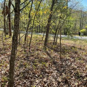 Photo #12 of 13323 BLACK MEADOW RD, SPOTSYLVANIA, VA 5.1 acres