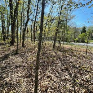 Photo #13 of 13323 BLACK MEADOW RD, SPOTSYLVANIA, VA 5.1 acres