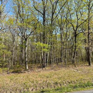 Photo #18 of 13323 BLACK MEADOW RD, SPOTSYLVANIA, VA 5.1 acres