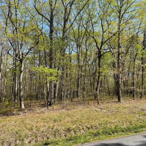 Photo #1 of 13323 BLACK MEADOW RD, SPOTSYLVANIA, VA 5.1 acres