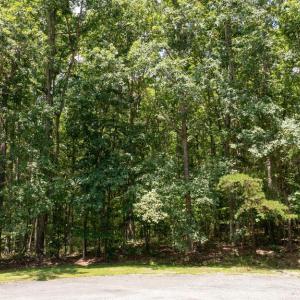 Photo #20 of PINEWOOD DR, MINERAL, VA 1.0 acres
