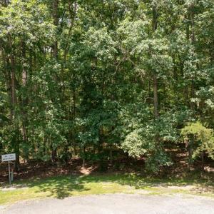 Photo #23 of PINEWOOD DR, MINERAL, VA 1.0 acres