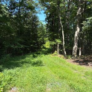 Photo #2 of 23 TAYLOR RD, LOUISA, VA 11.8 acres