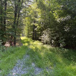 Photo #3 of 23 TAYLOR RD, LOUISA, VA 11.8 acres