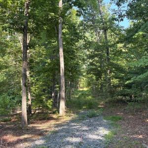 Photo #5 of 23 TAYLOR RD, LOUISA, VA 11.8 acres